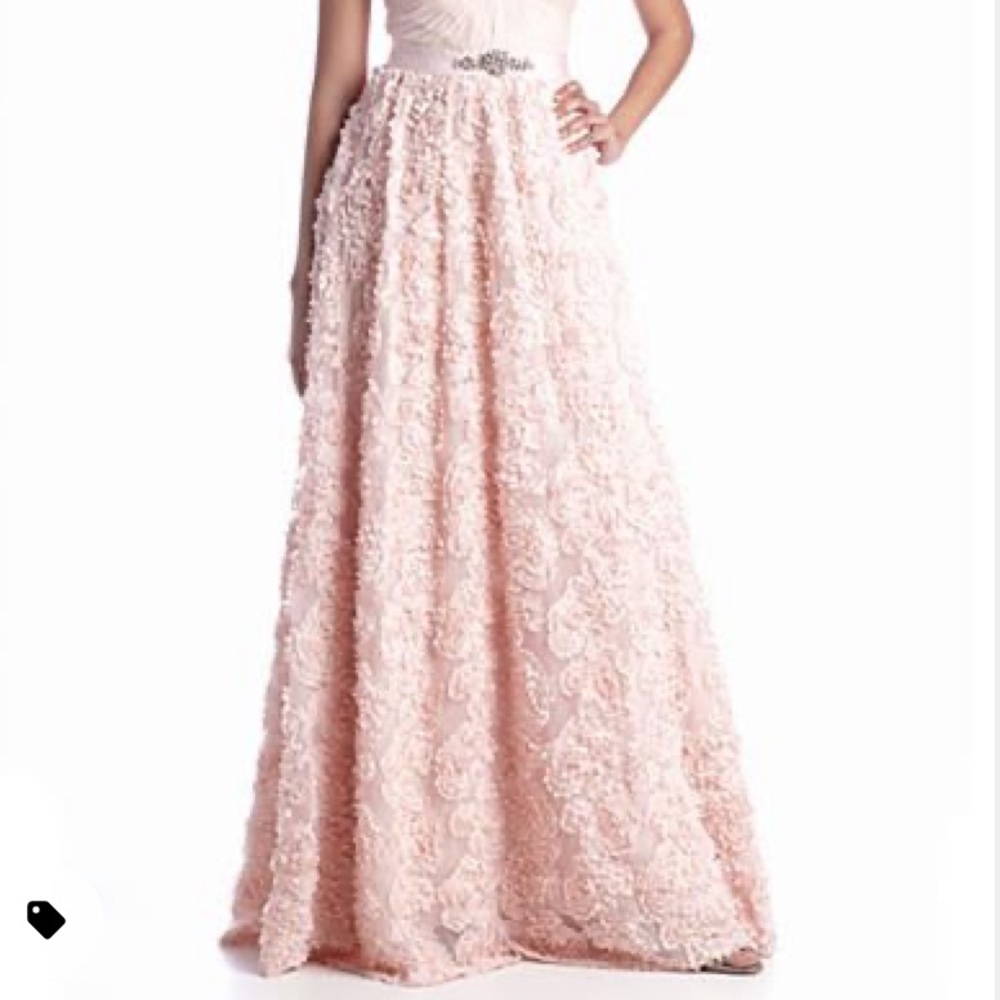 Adrianna-Papell floral embroidered illusions gown - Picture 6 of 12